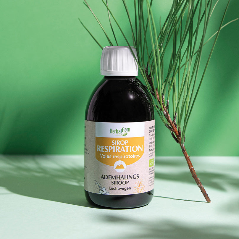 Sirop naturel pour les voies respiratoires, élaboré à base de plantes pour calmer la toux et faciliter la respiration.