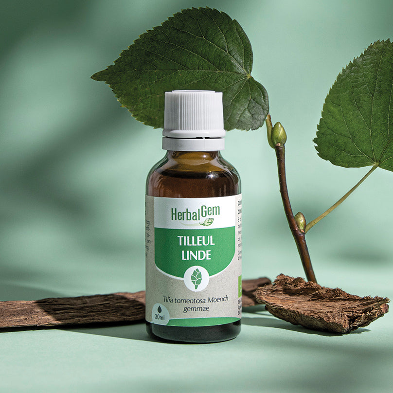 Extrait de bourgeon naturel de tilleul (Tilia tomentosa), réputé pour ses vertus apaisantes et son action sur le stress et l’insomnie.
