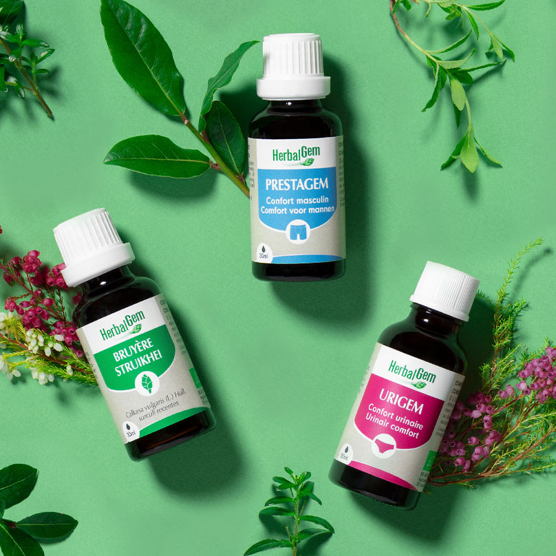 Trio d’extraits de bourgeons PRESTAGEM, URIGEM et bruyère, spécialement formulé pour soutenir le confort urinaire et la santé des voies urinaires.