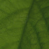050513-prestagem-herbalgem-30ml-fr26-5425009102145-07.mp4