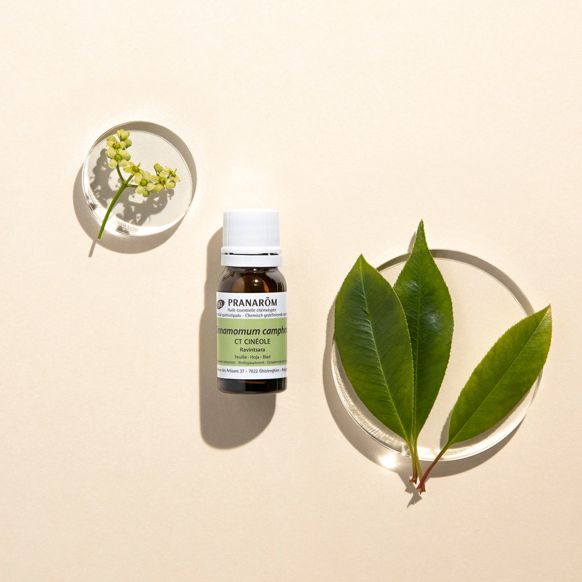 Baume Ravintsara Pranarōm | Herbalgem